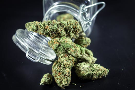 Detailed close-up of cannabis buds spilling from a glass jar, emphasizing texture and color.