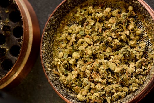Close-up of ground cannabis in a grinder showcasing texture and details.