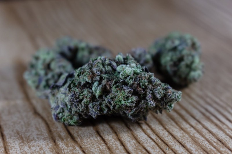 Close-up of dense cannabis bud showing heavy trichome coverage and purple coloration — representative of new 2026 strain quality