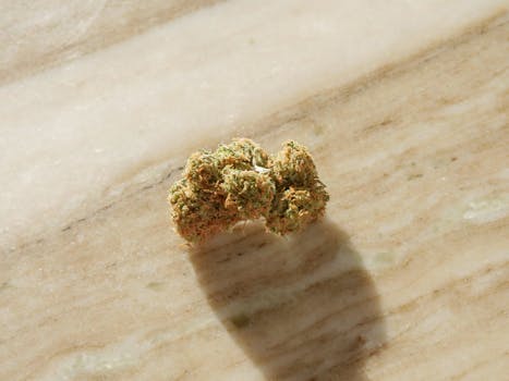 Macro shot of a cannabis bud on a light marble background showcasing texture and detail.