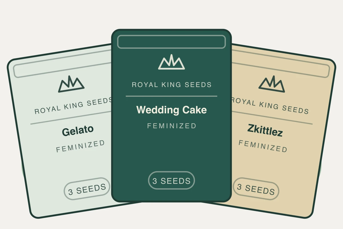 Indoor Grower Kit cannabis seed bundle containing Gelato Feminized, Wedding Cake Feminized, Zkittlez Feminized