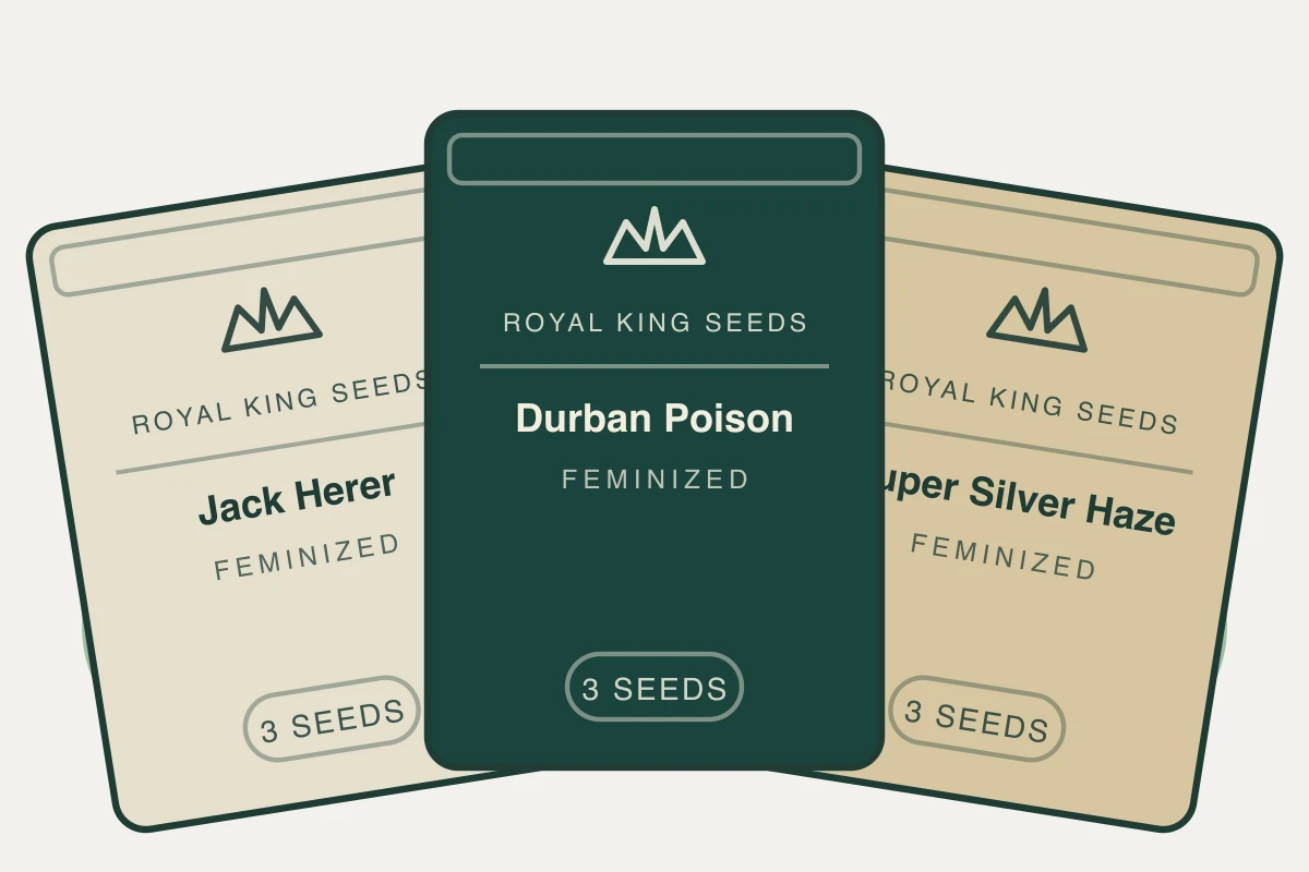 Outdoor Grower Kit cannabis seed bundle containing Jack Herer Feminized, Durban Poison Feminized, Super Silver Haze Feminized