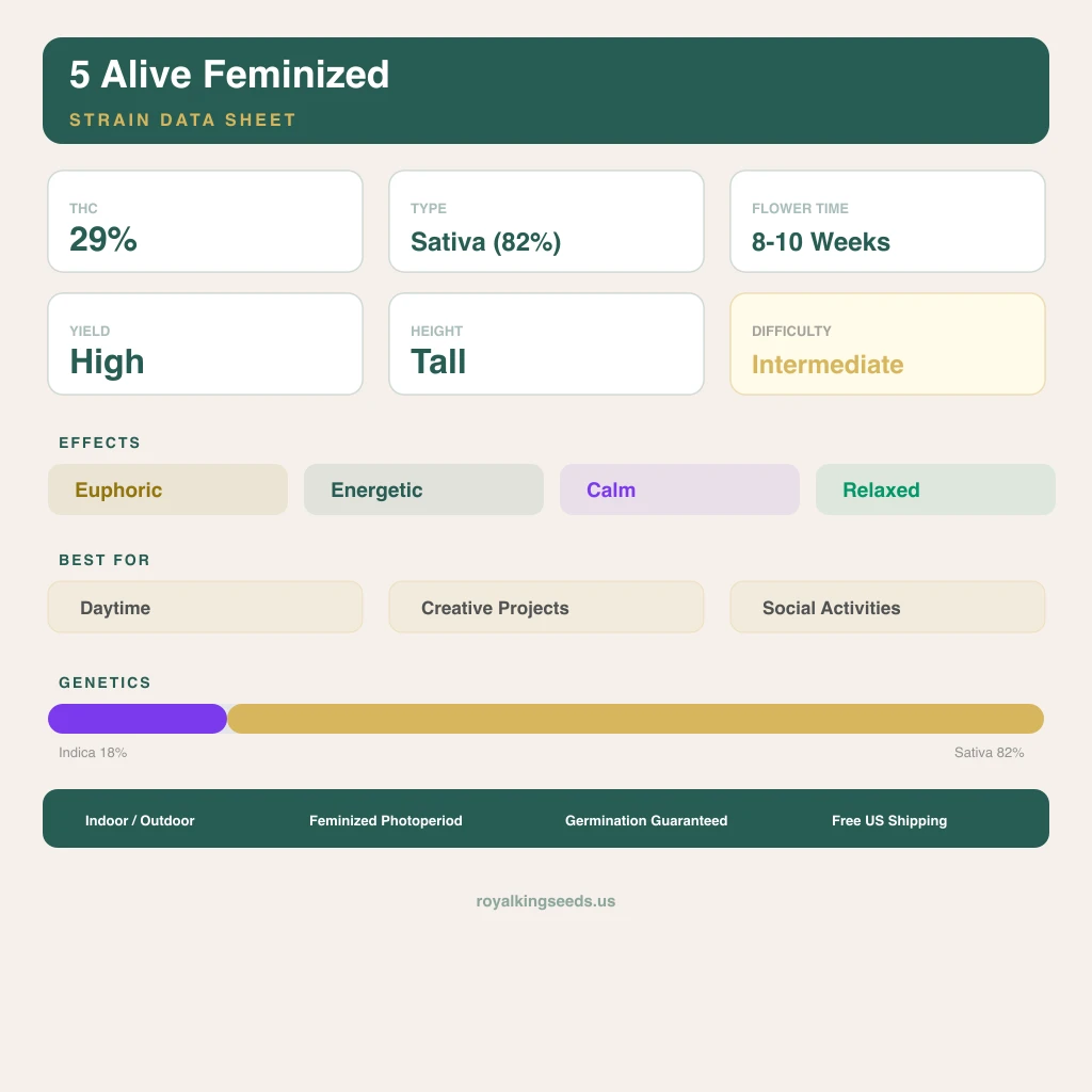 5 Alive 18% indica / 82% sativa flower with visible trichomes