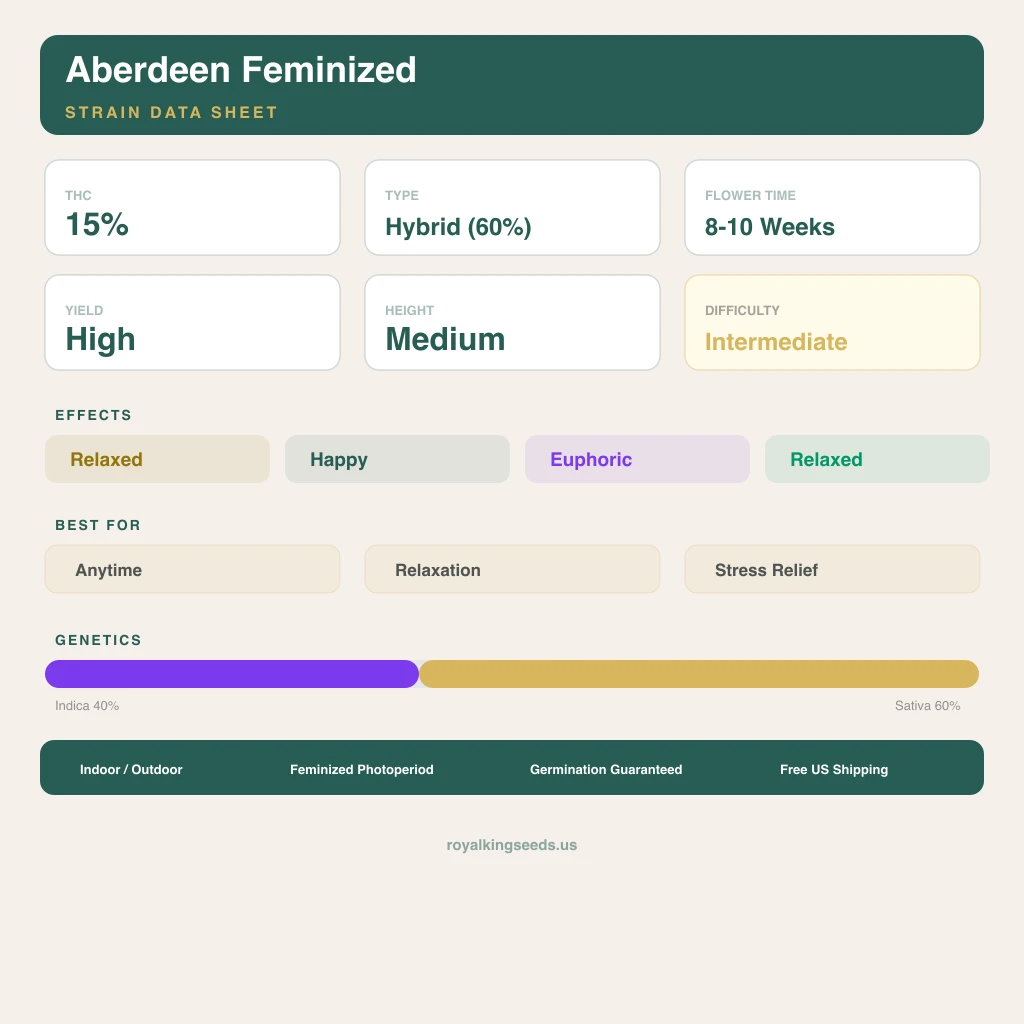 Aberdeen 40% indica / 60% sativa flower with visible trichomes