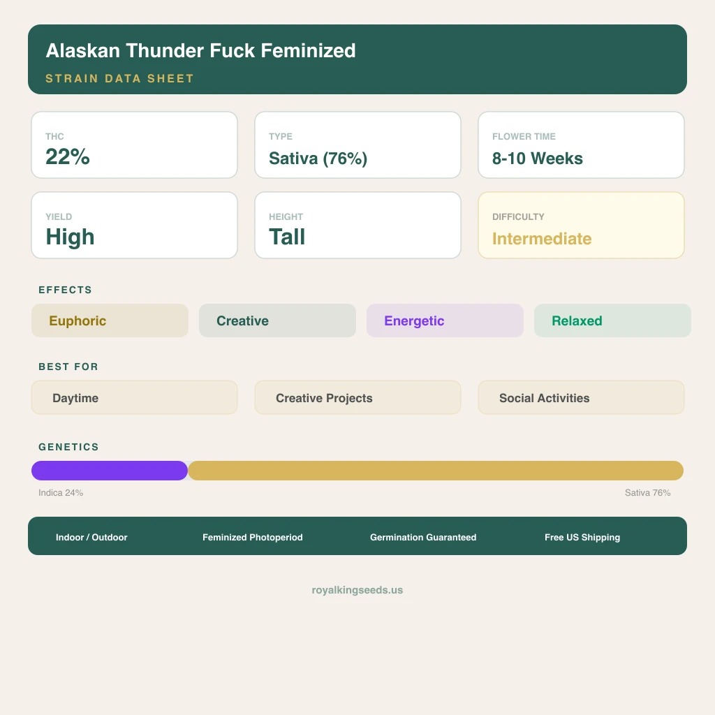 Alaskan Thunder Fuck 24% indica / 76% sativa flower with visible trichomes
