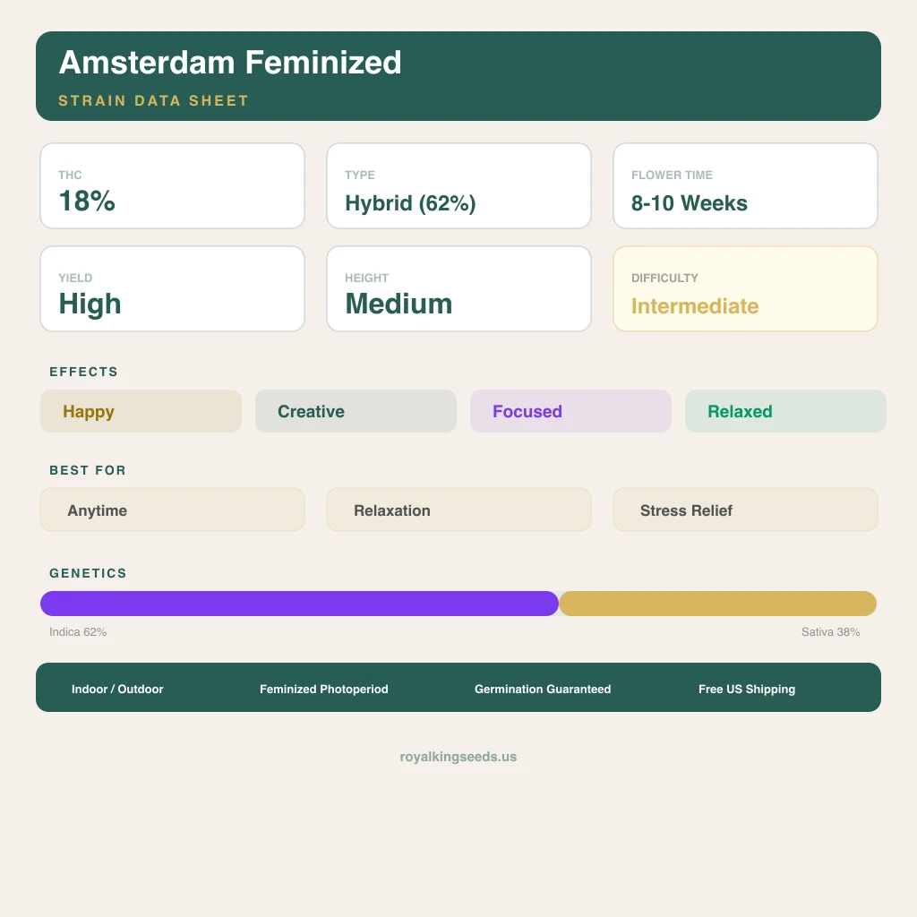 Amsterdam 62% indica / 38% sativa flower with visible trichomes