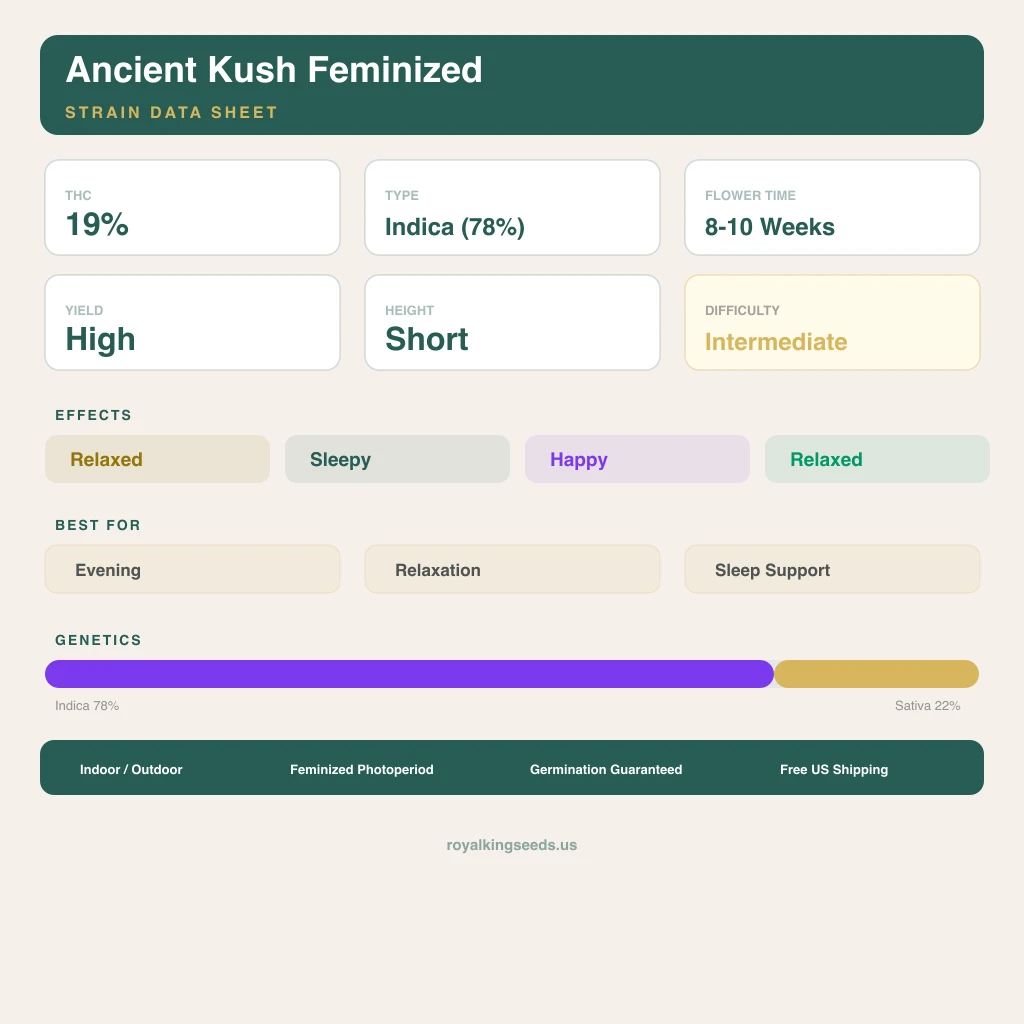 Ancient Kush 78% indica / 22% sativa flower with visible trichomes