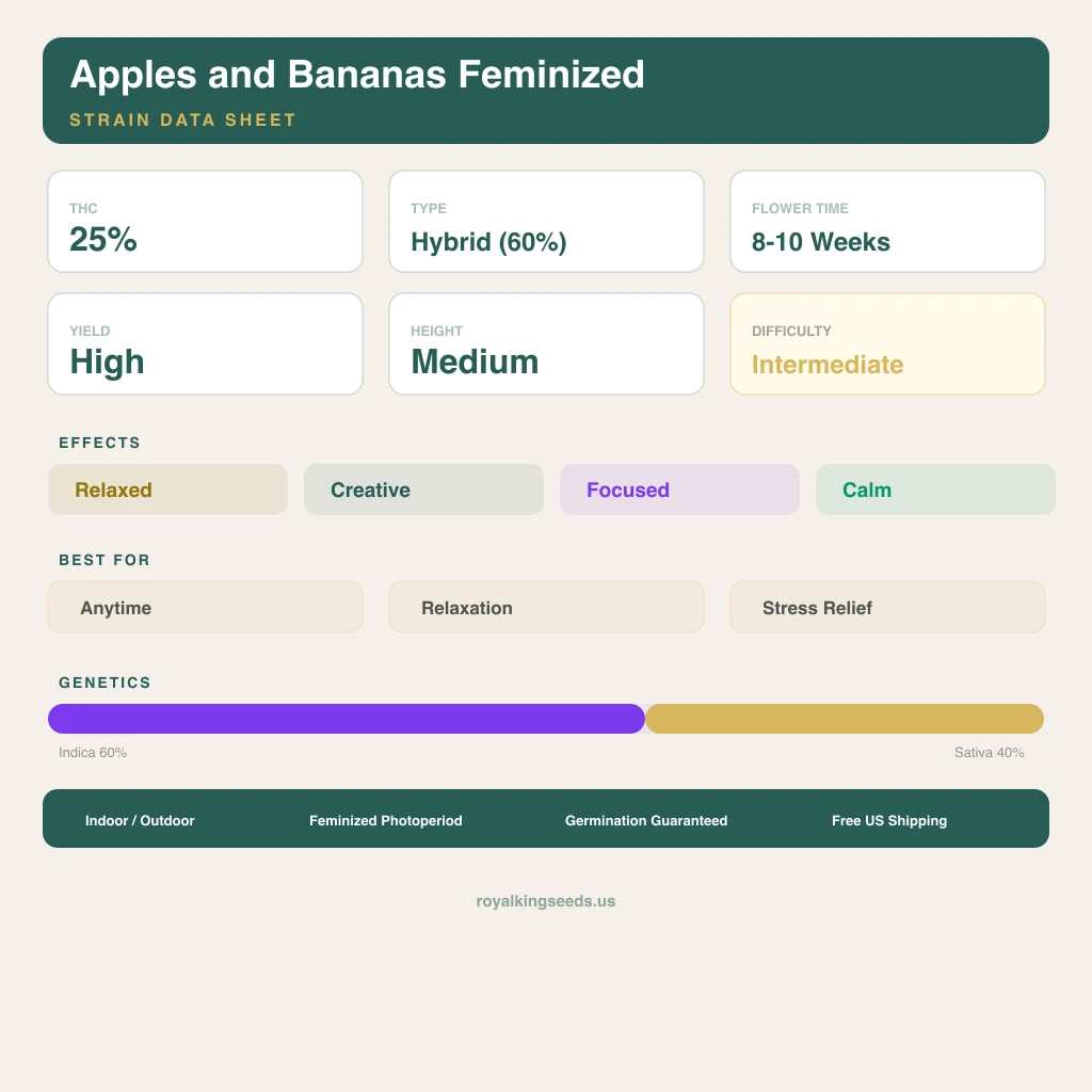 Apples and Bananas 60% indica / 40% sativa flower with visible trichomes