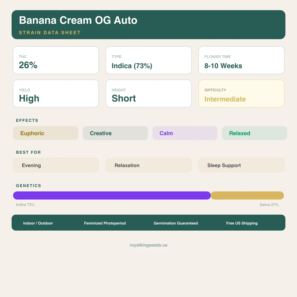 Banana Cream OG 73% indica / 27% sativa flower with visible trichomes