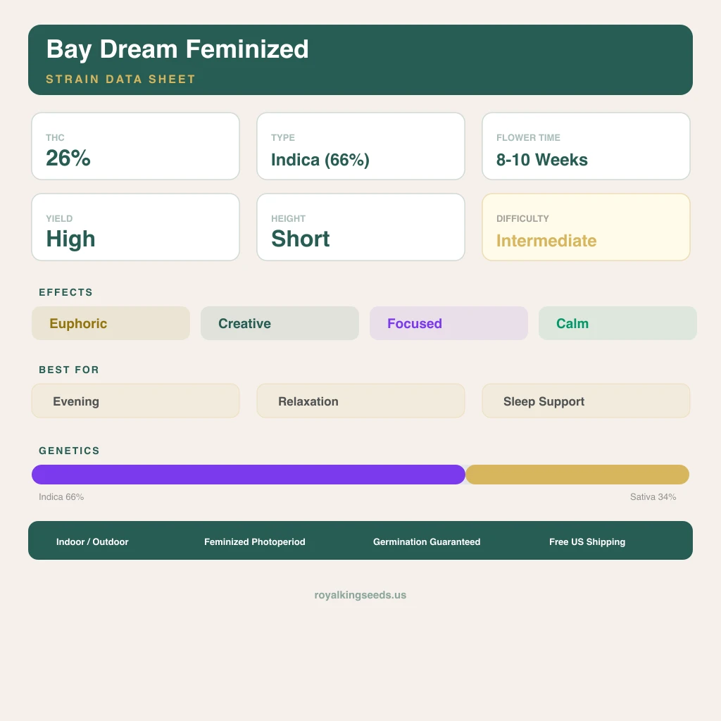 Bay Dream 66% indica / 34% sativa flower with visible trichomes