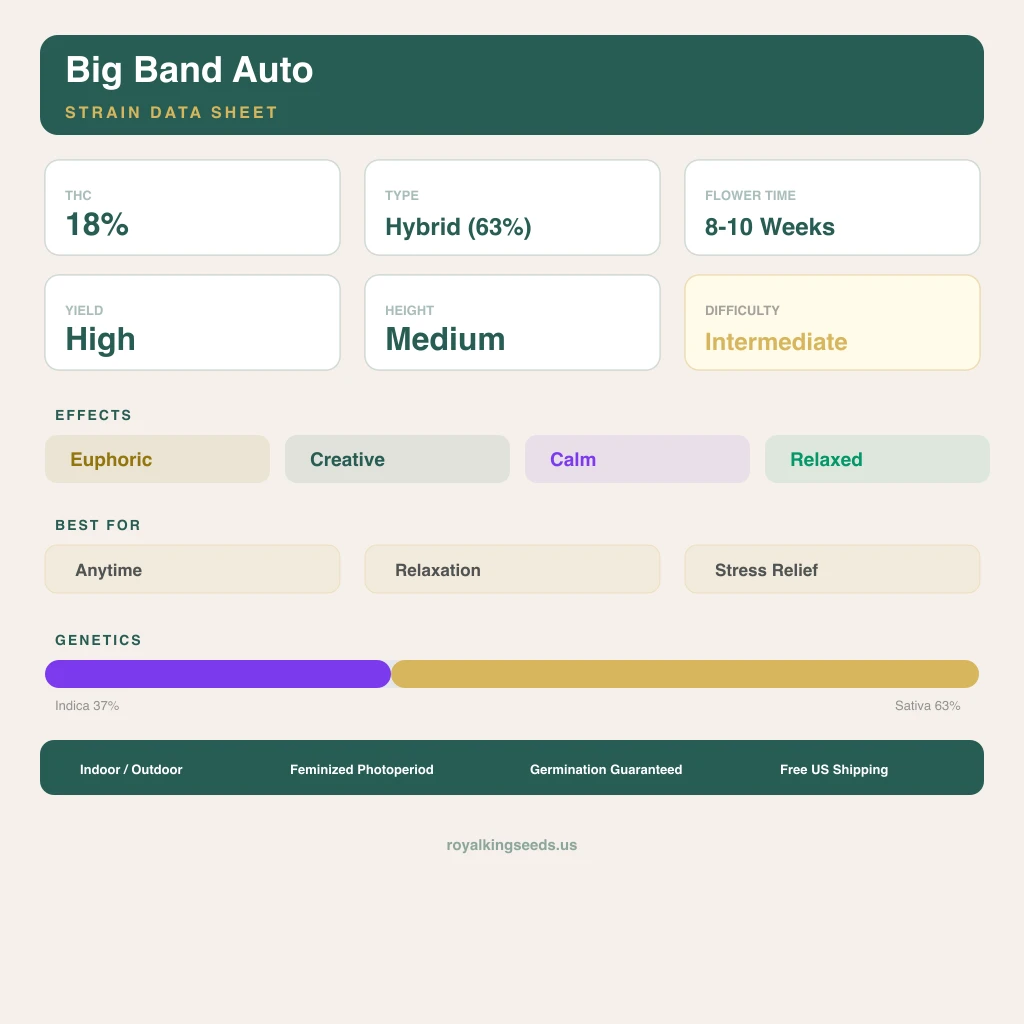 Big Band 37% indica / 63% sativa flower with visible trichomes