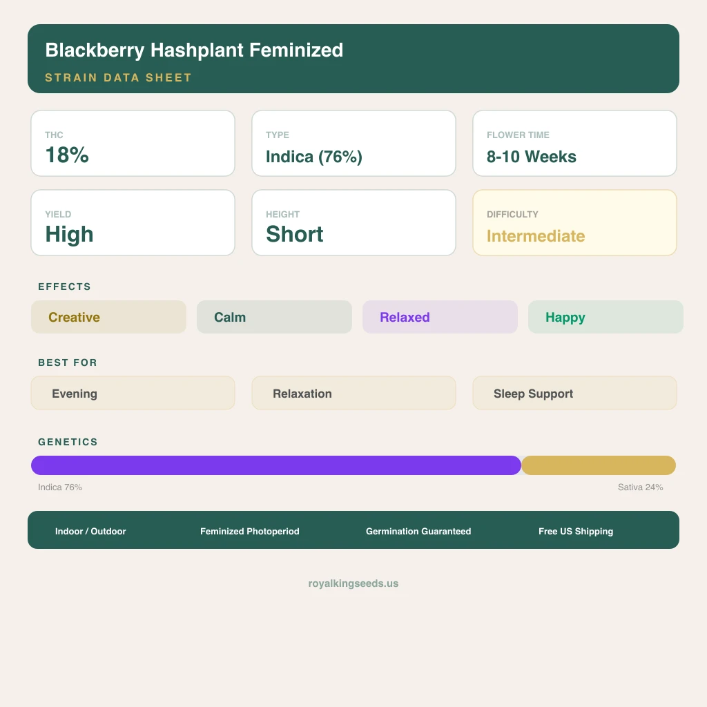 Blackberry Hashplant 76% indica / 24% sativa flower with visible trichomes