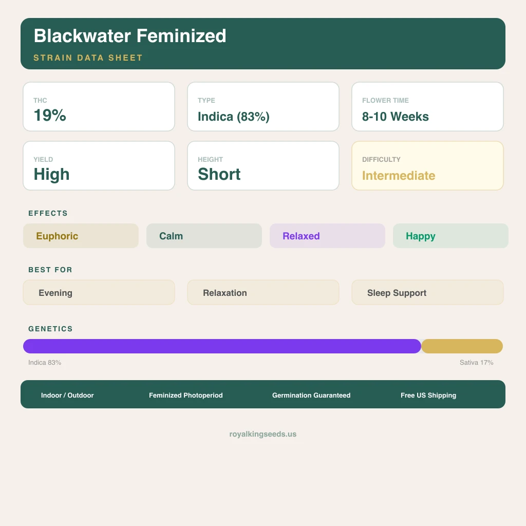 Blackwater 83% indica / 17% sativa flower with visible trichomes