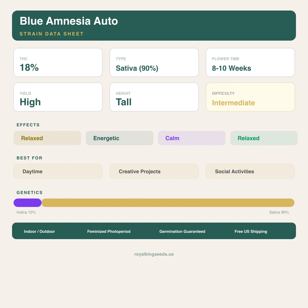 Blue Amnesia 10% indica / 90% sativa flower with visible trichomes