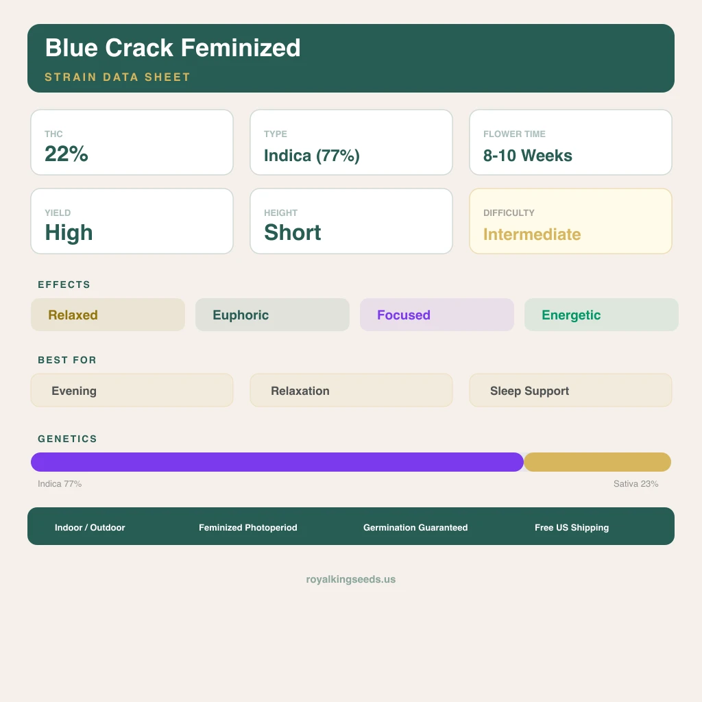 Blue Crack 77% indica / 23% sativa flower with visible trichomes