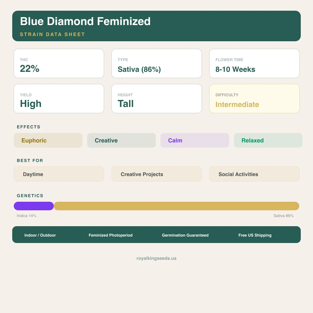 Blue Diamond 14% indica / 86% sativa flower with visible trichomes