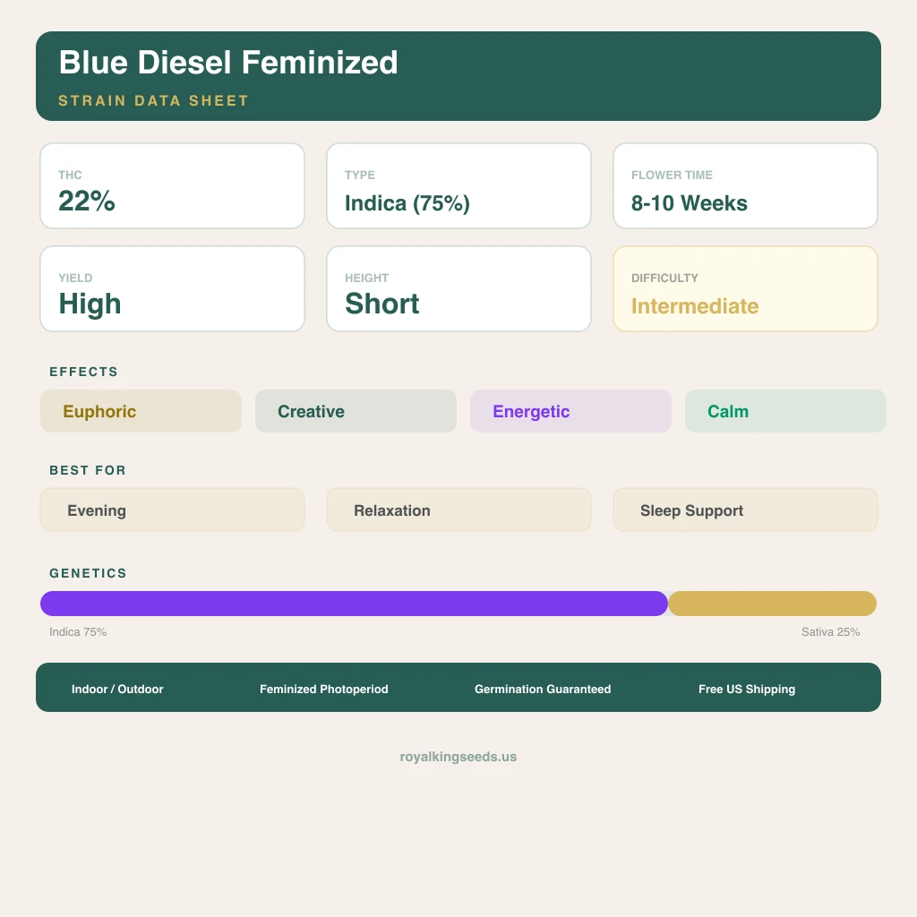 Blue Diesel 75% indica / 25% sativa flower with visible trichomes