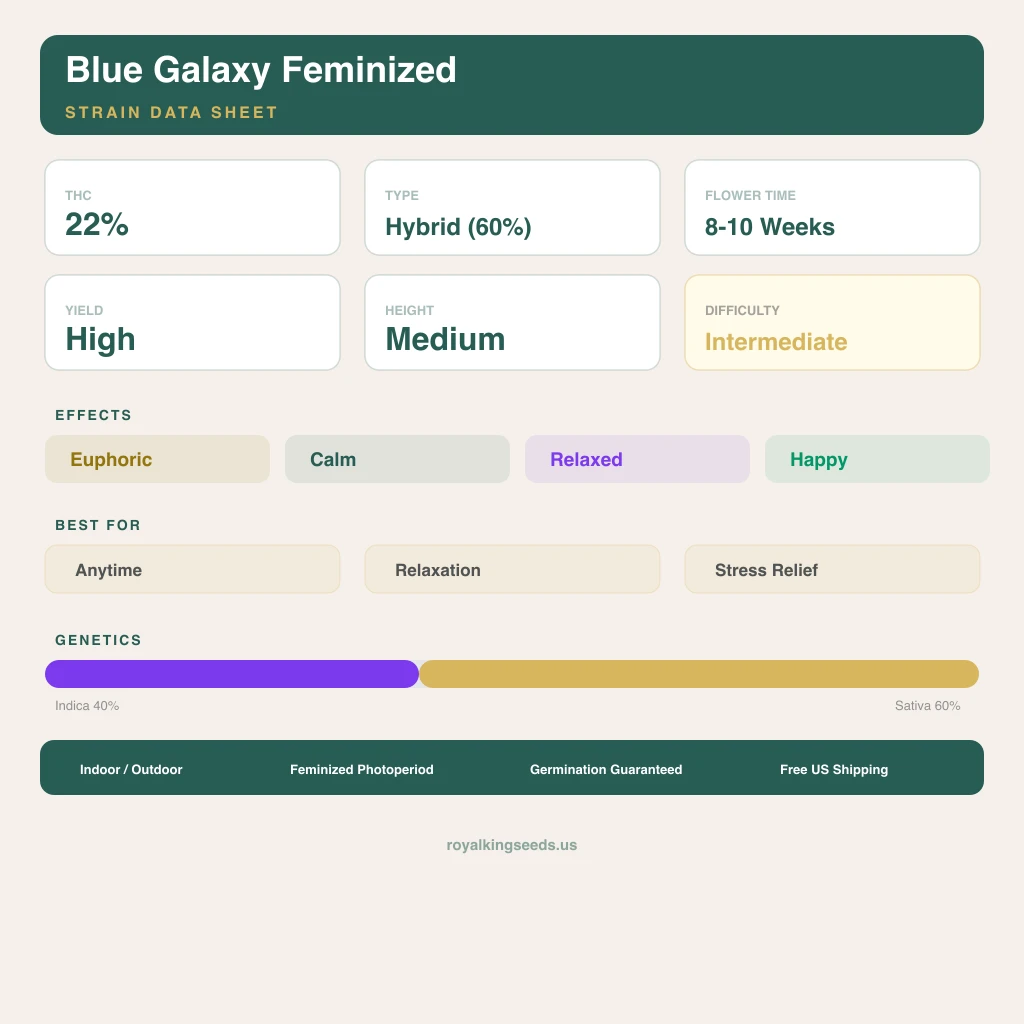 Blue Galaxy 40% indica / 60% sativa flower with visible trichomes