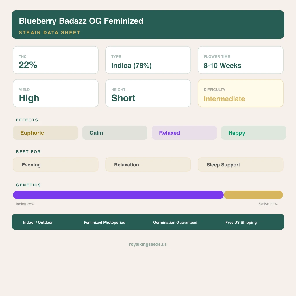 Blueberry Badazz OG 78% indica / 22% sativa flower with visible trichomes