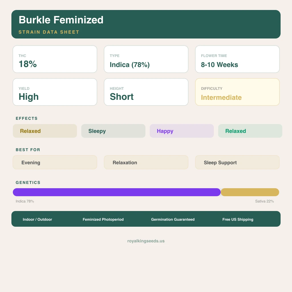 Burkle 78% indica / 22% sativa flower with visible trichomes