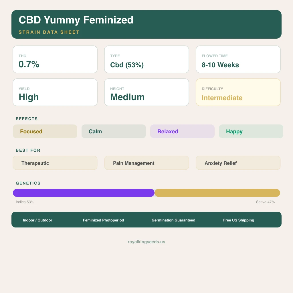 CBD Yummy 53% indica / 47% sativa flower with visible trichomes