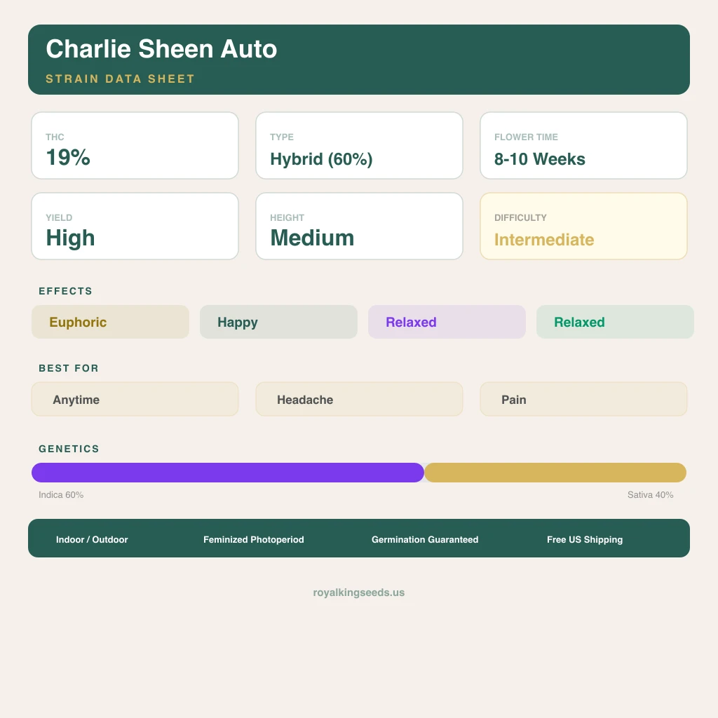 Charlie Sheen 60% indica / 40% sativa flower with visible trichomes