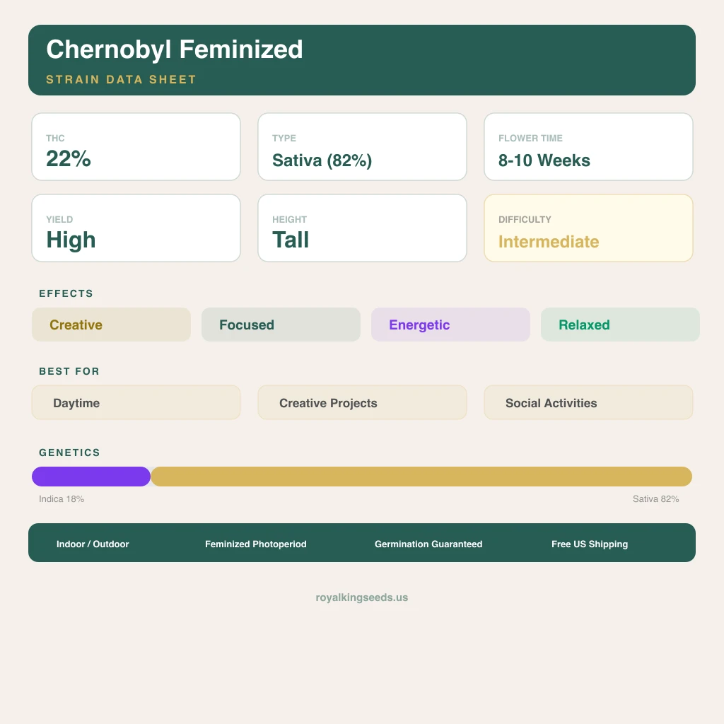Chernobyl 18% indica / 82% sativa flower with visible trichomes