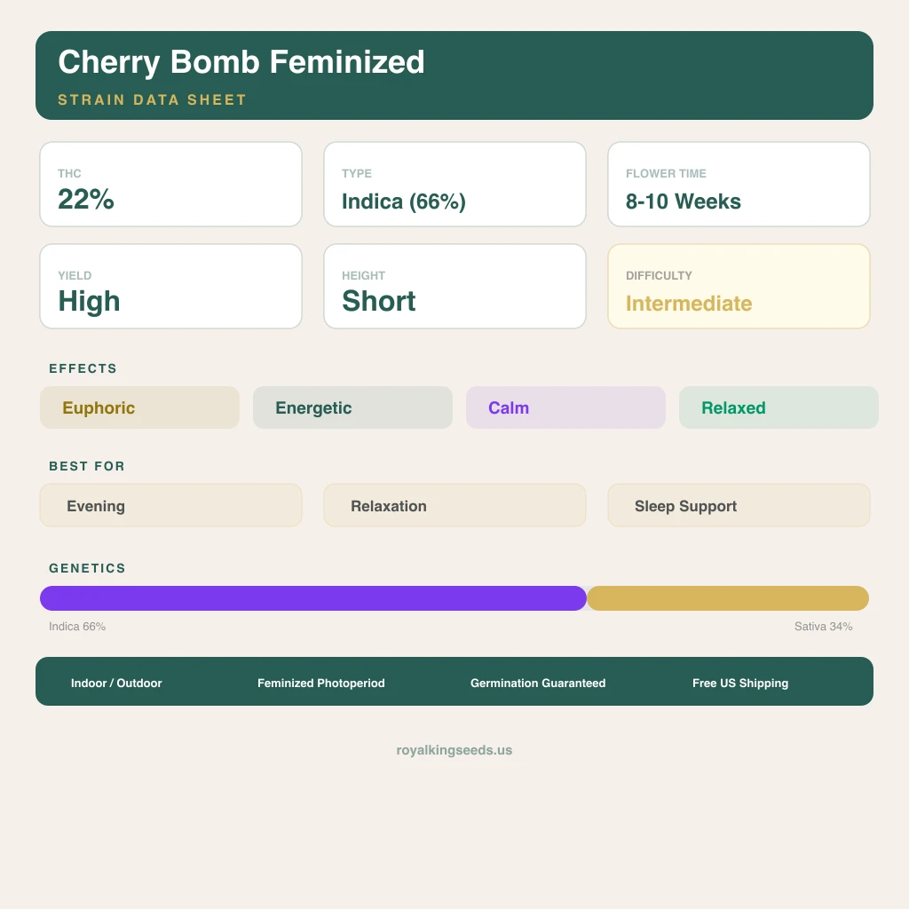 Cherry Bomb 66% indica / 34% sativa flower with visible trichomes