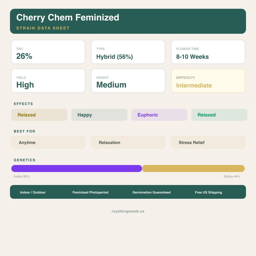 Cherry Chem 56% indica / 44% sativa flower with visible trichomes