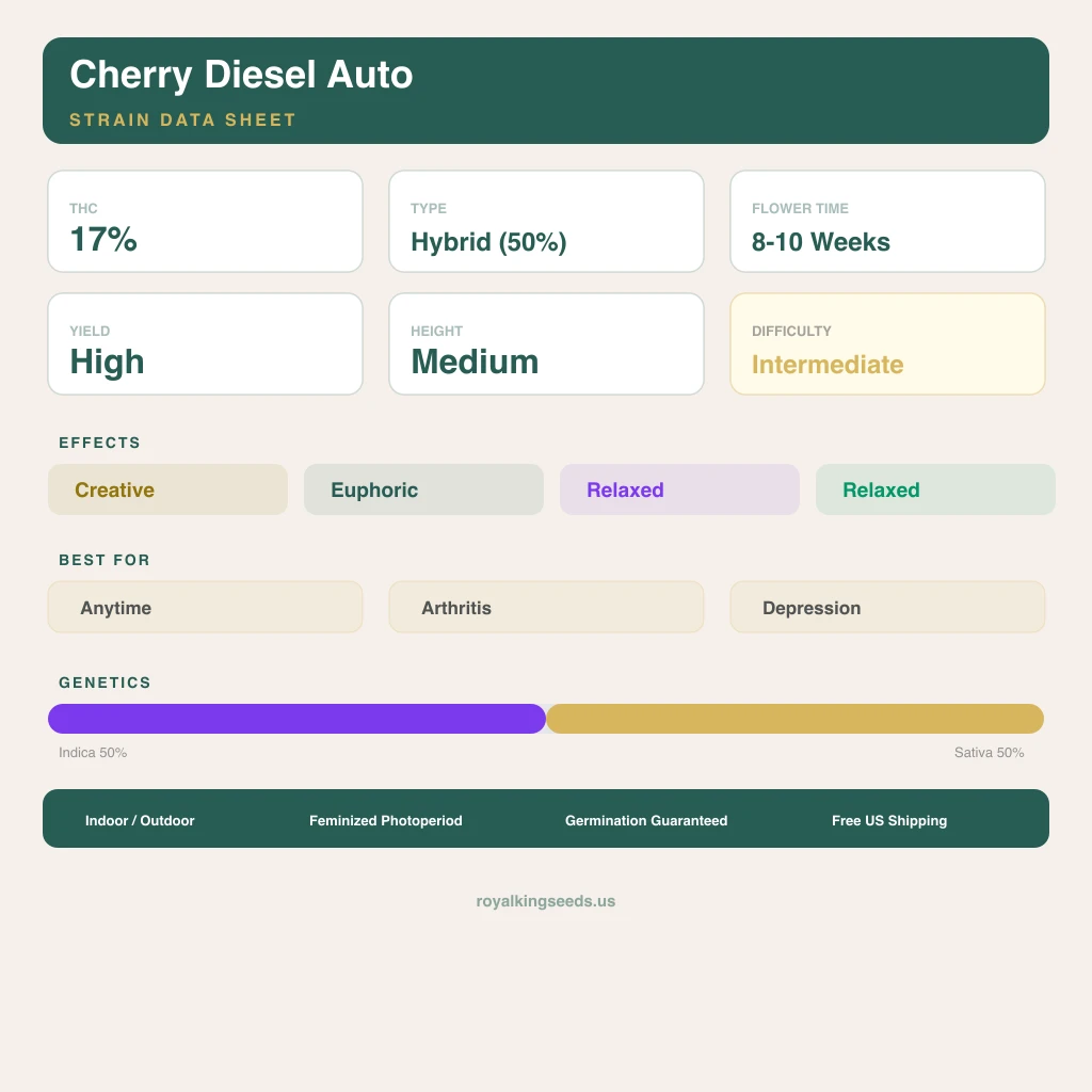 Cherry Diesel 50% indica / 50% sativa flower with visible trichomes