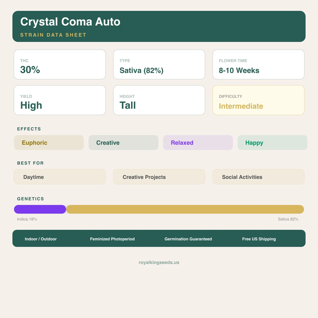 Crystal Coma 18% indica / 82% sativa flower with visible trichomes