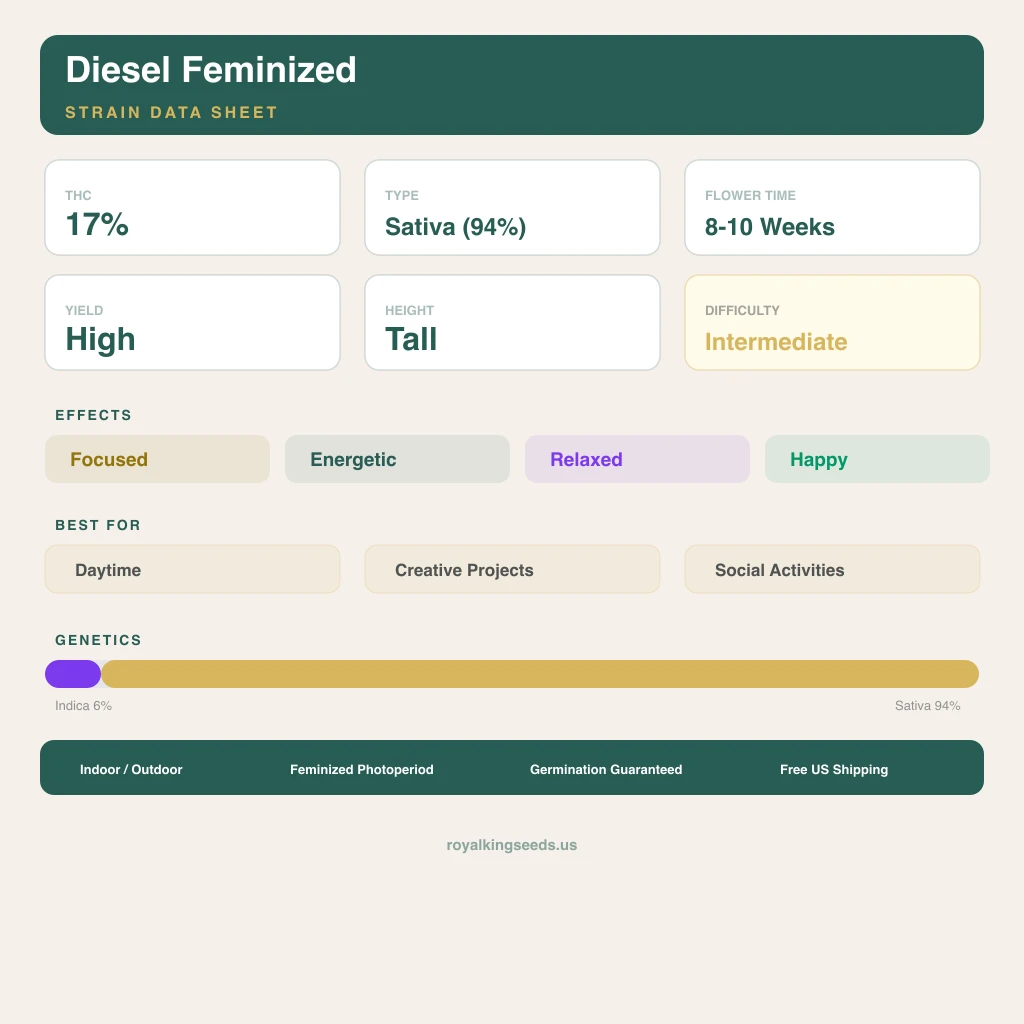 Diesel 6% indica / 94% sativa flower with visible trichomes