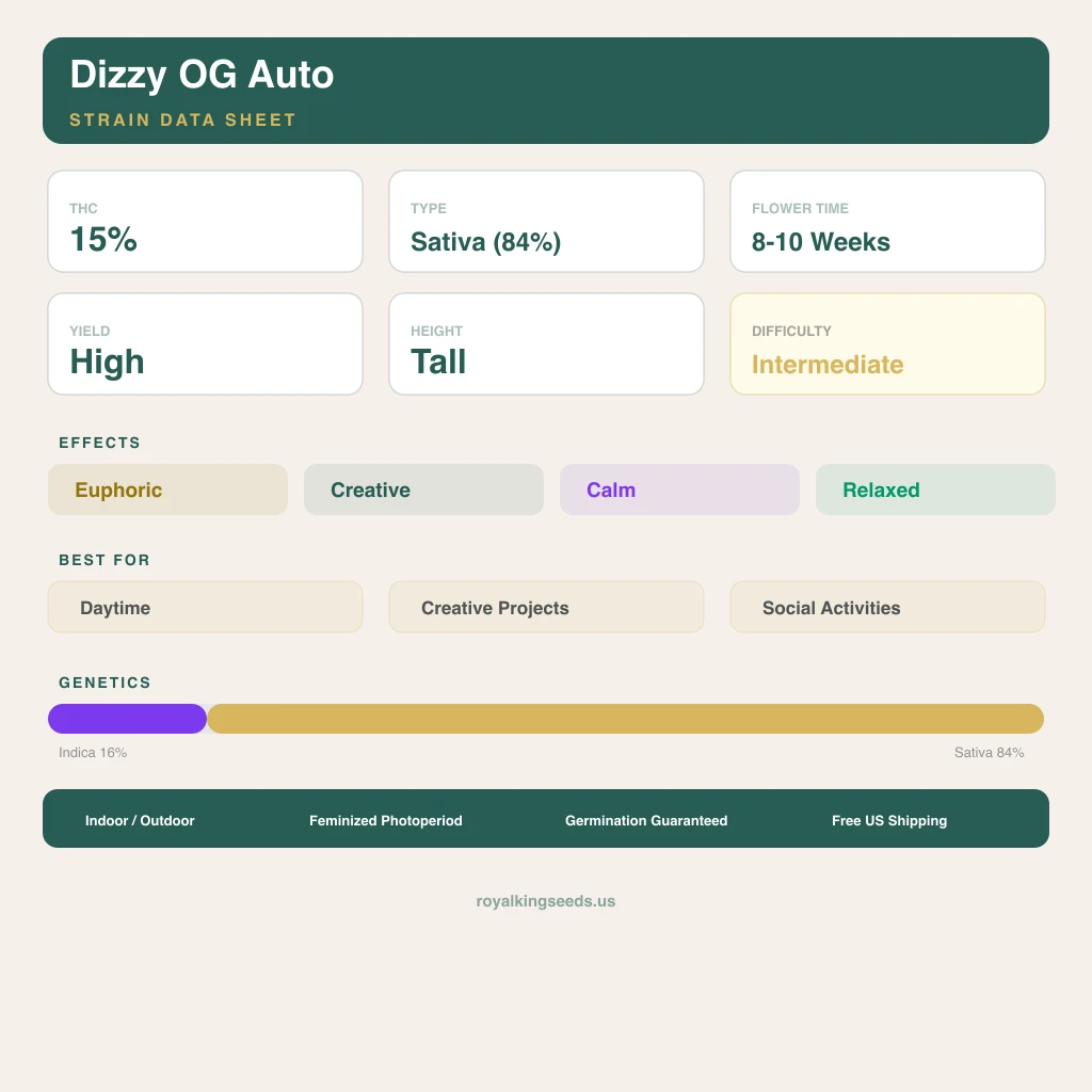 Dizzy OG 16% indica / 84% sativa flower with visible trichomes