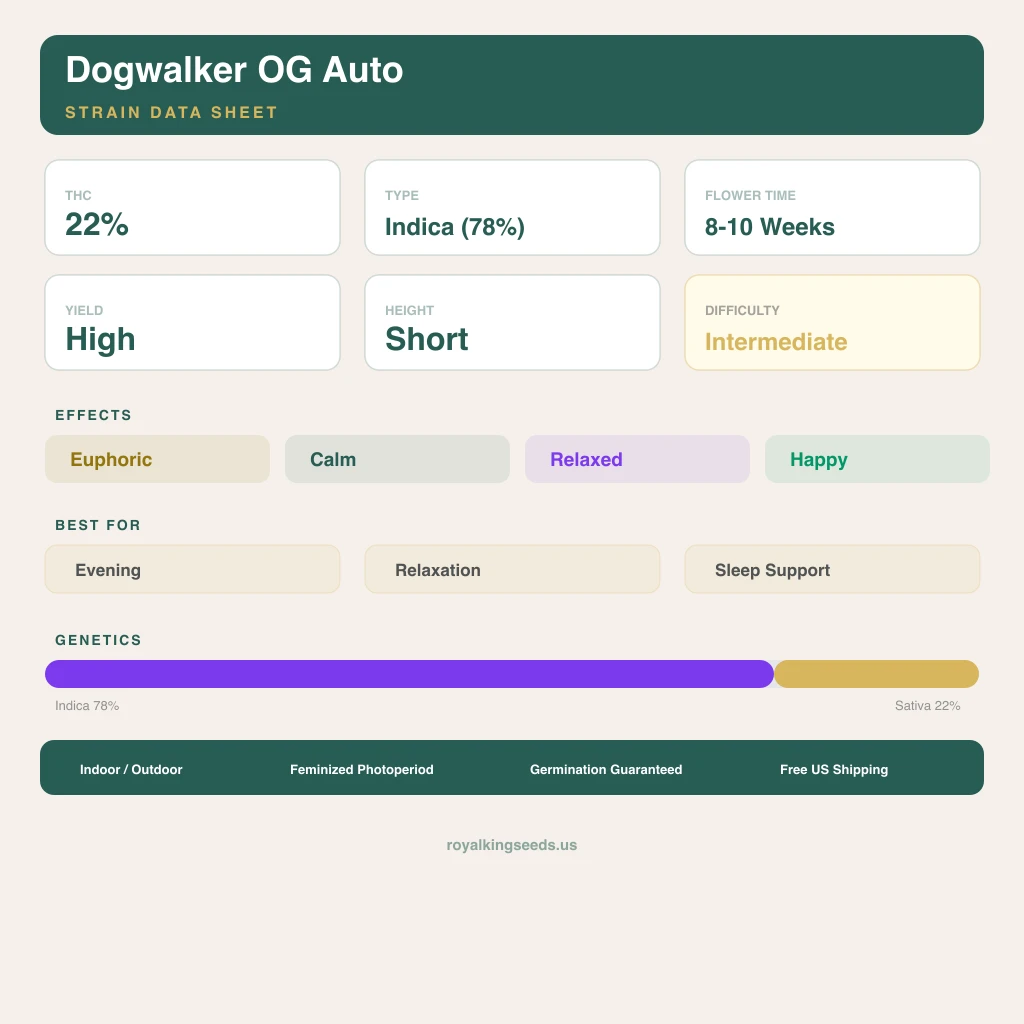 Dogwalker OG 78% indica / 22% sativa flower with visible trichomes