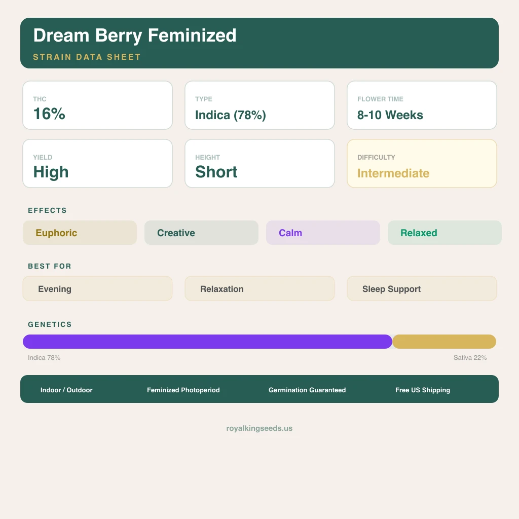 Dream Berry 78% indica / 22% sativa flower with visible trichomes