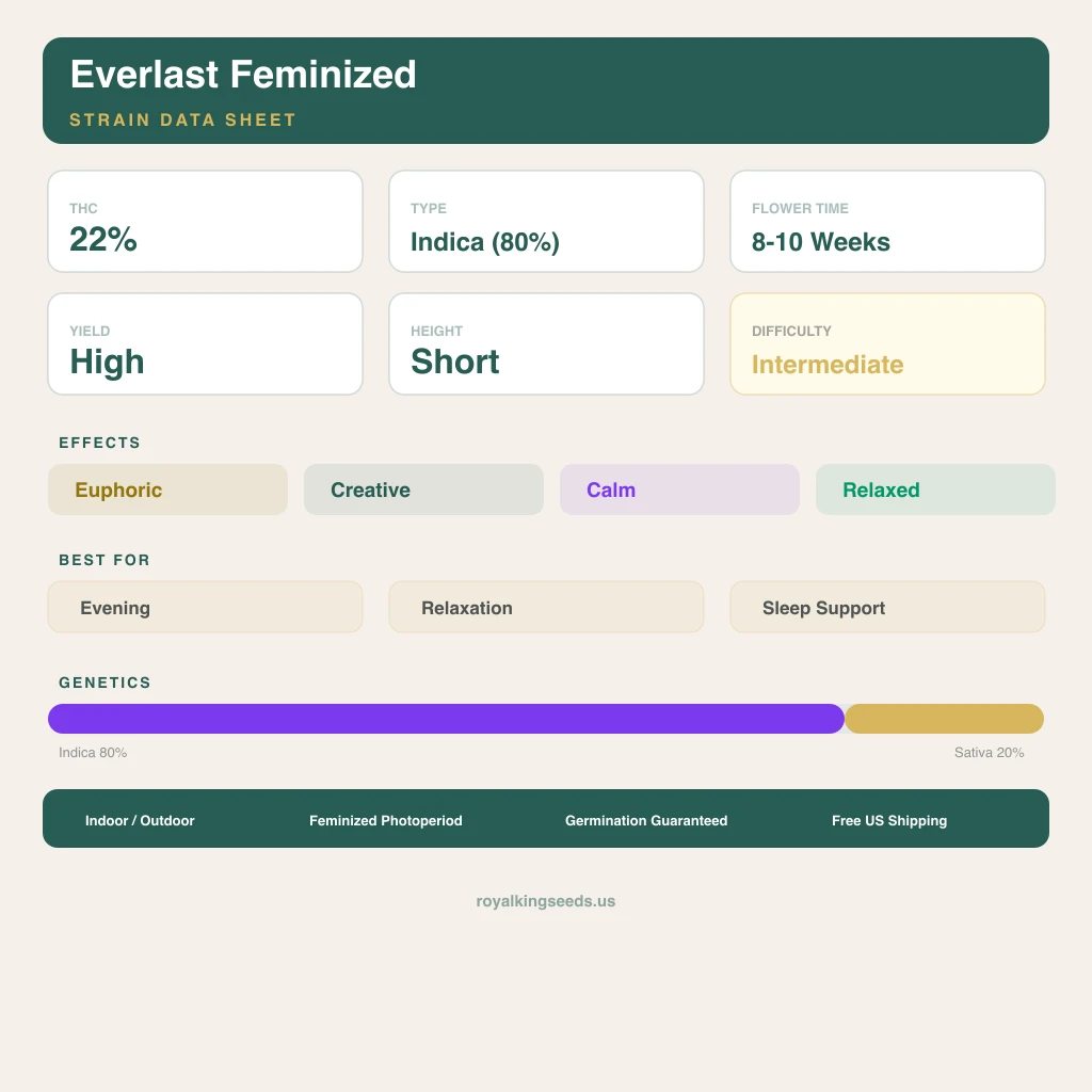 Everlast 80% indica / 20% sativa flower with visible trichomes