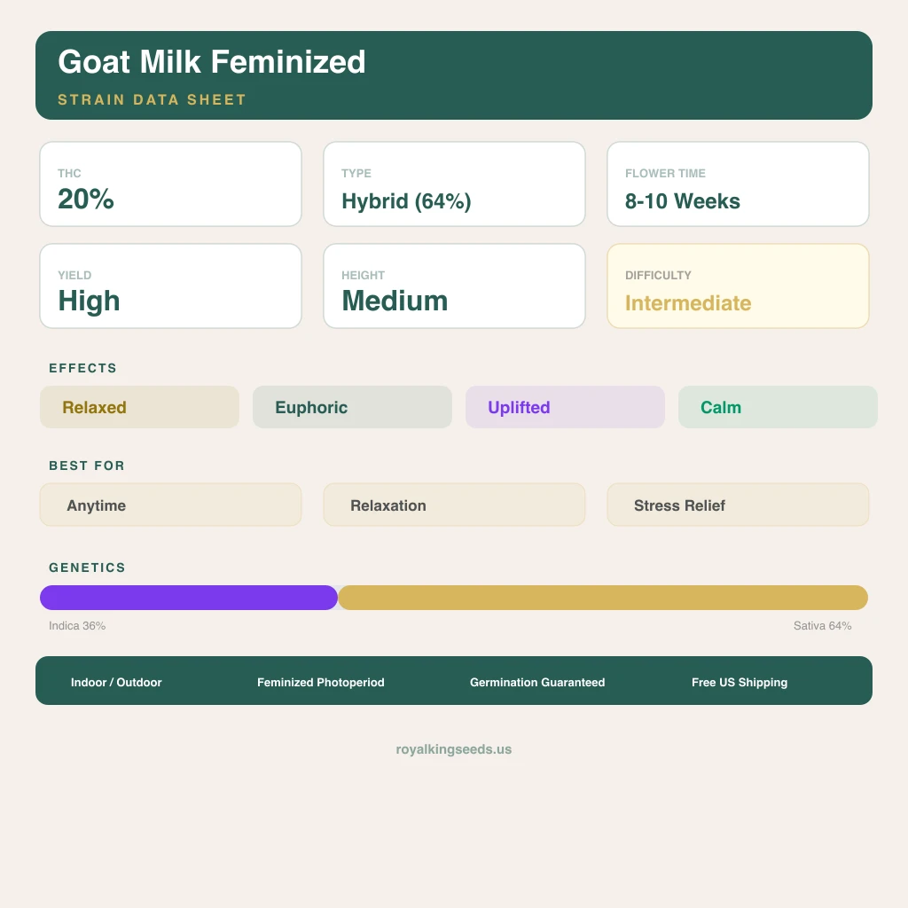 Goat Milk 36% indica / 64% sativa flower with visible trichomes