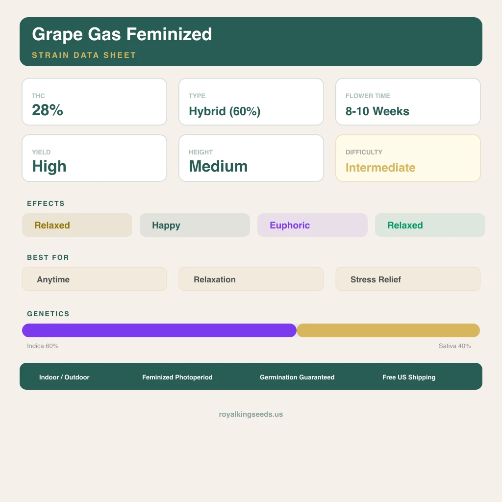 Grape Gas 60% indica / 40% sativa flower with visible trichomes