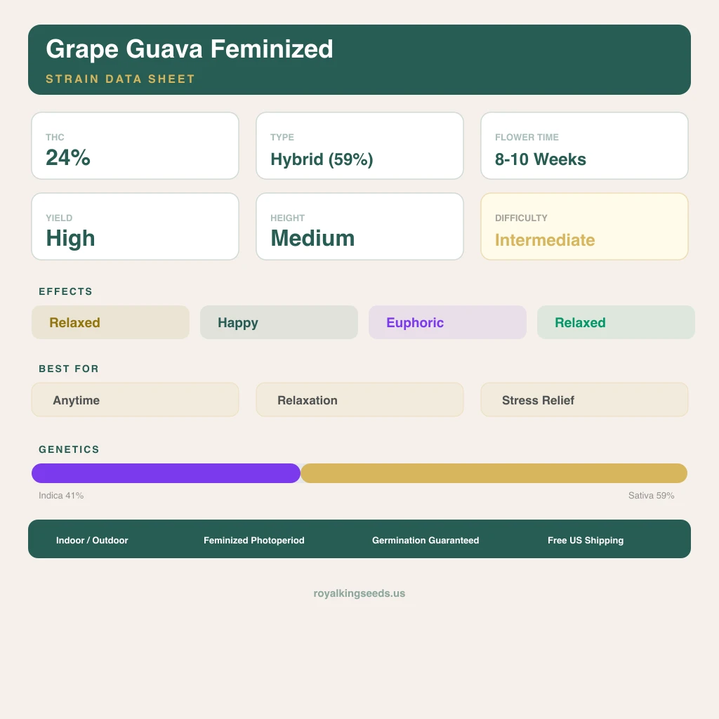 Grape Guava 41% indica / 59% sativa flower with visible trichomes