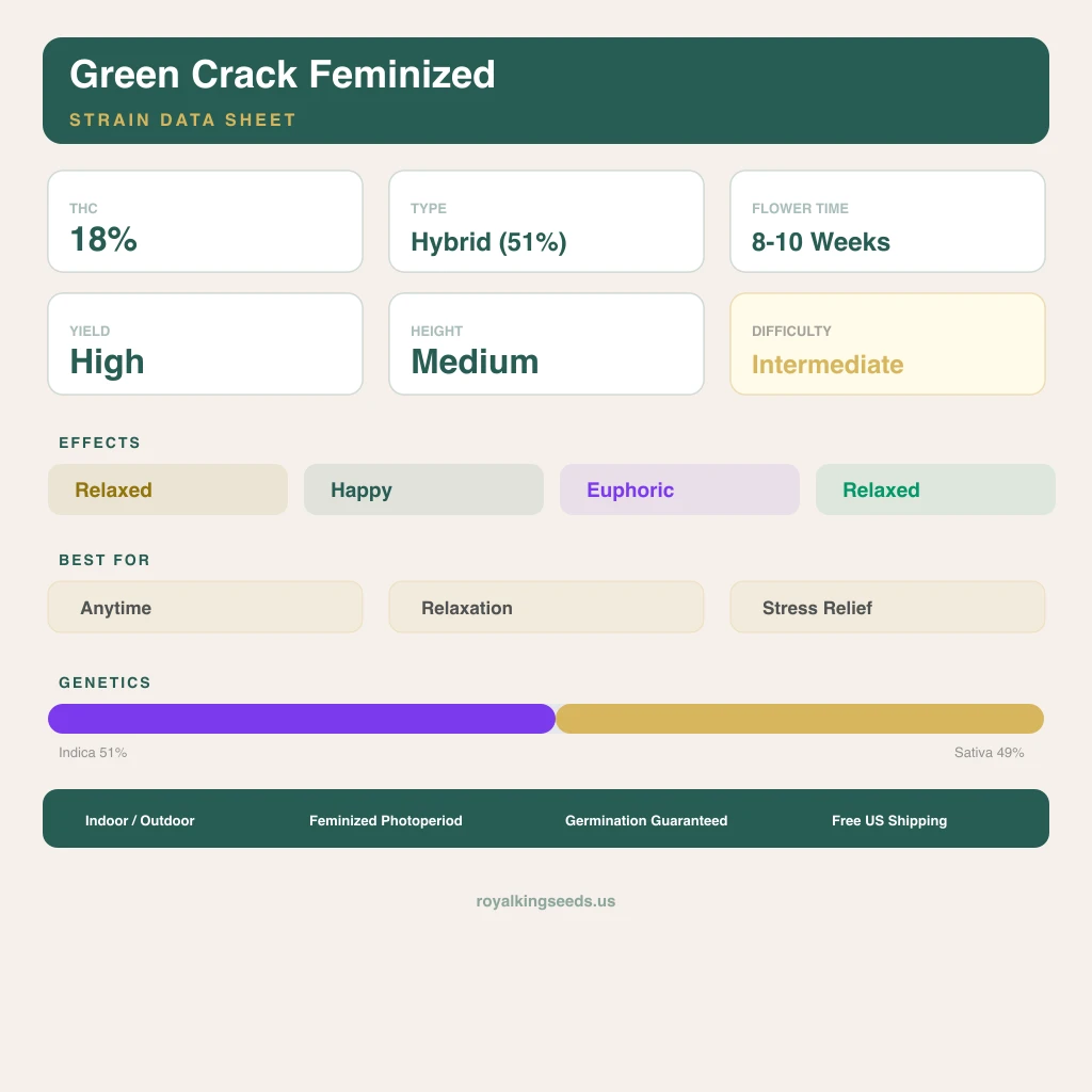 Green Crack 51% indica / 49% sativa flower with visible trichomes