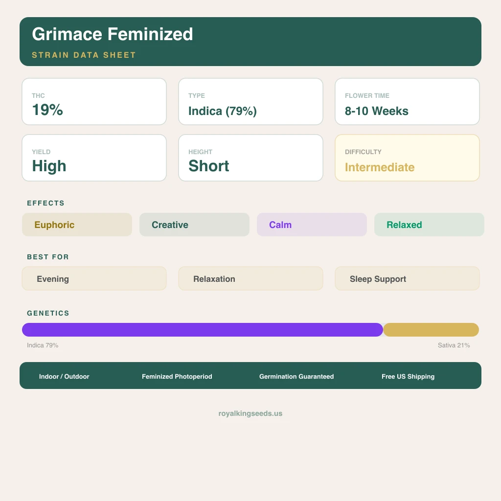 Grimace 79% indica / 21% sativa flower with visible trichomes