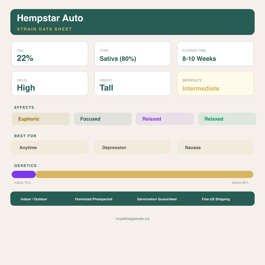 Hempstar 10% indica / 80% sativa flower with visible trichomes