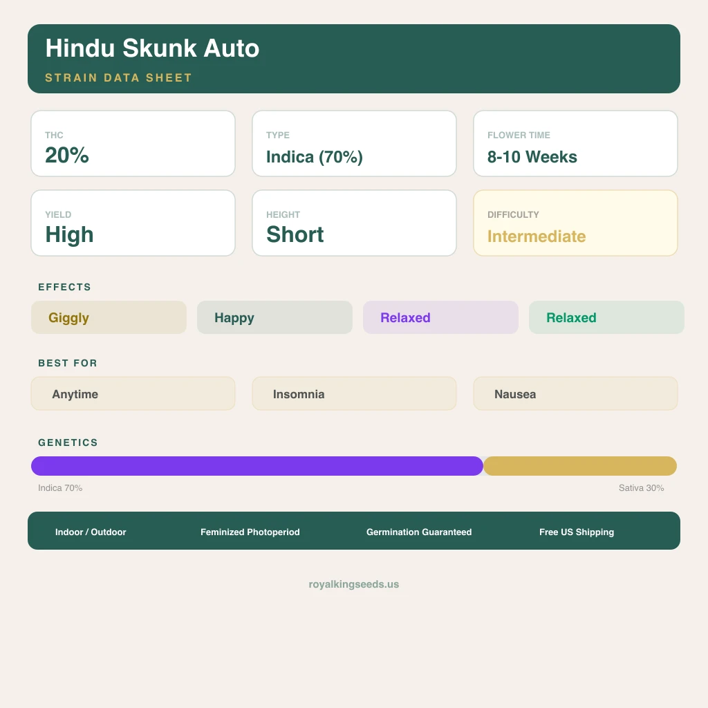 Hindu Skunk 70% indica / 30% sativa flower with visible trichomes