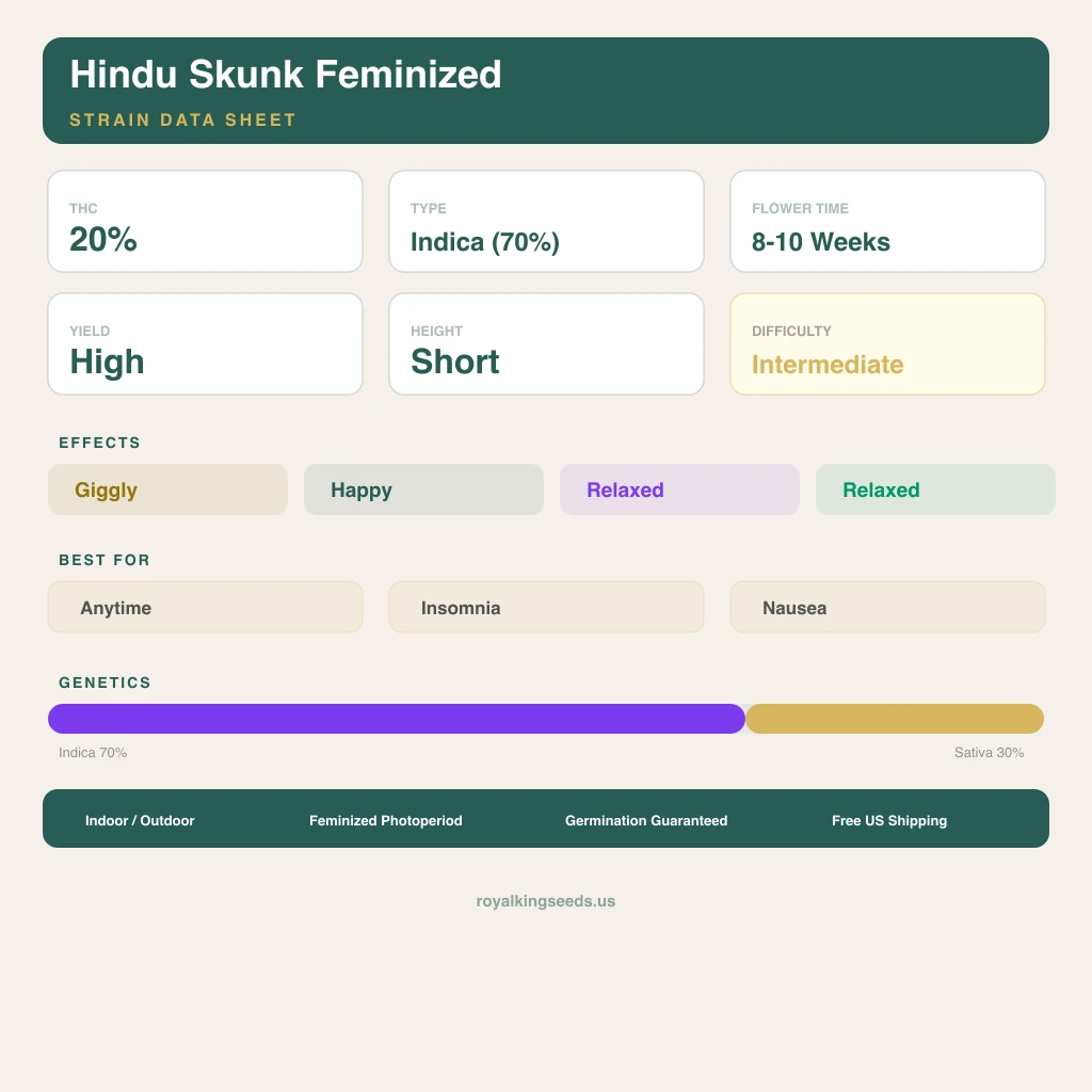 Hindu Skunk 70% indica / 30% sativa flower with visible trichomes