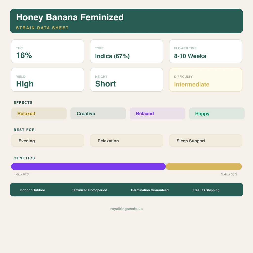 Honey Banana 67% indica / 33% sativa flower with visible trichomes