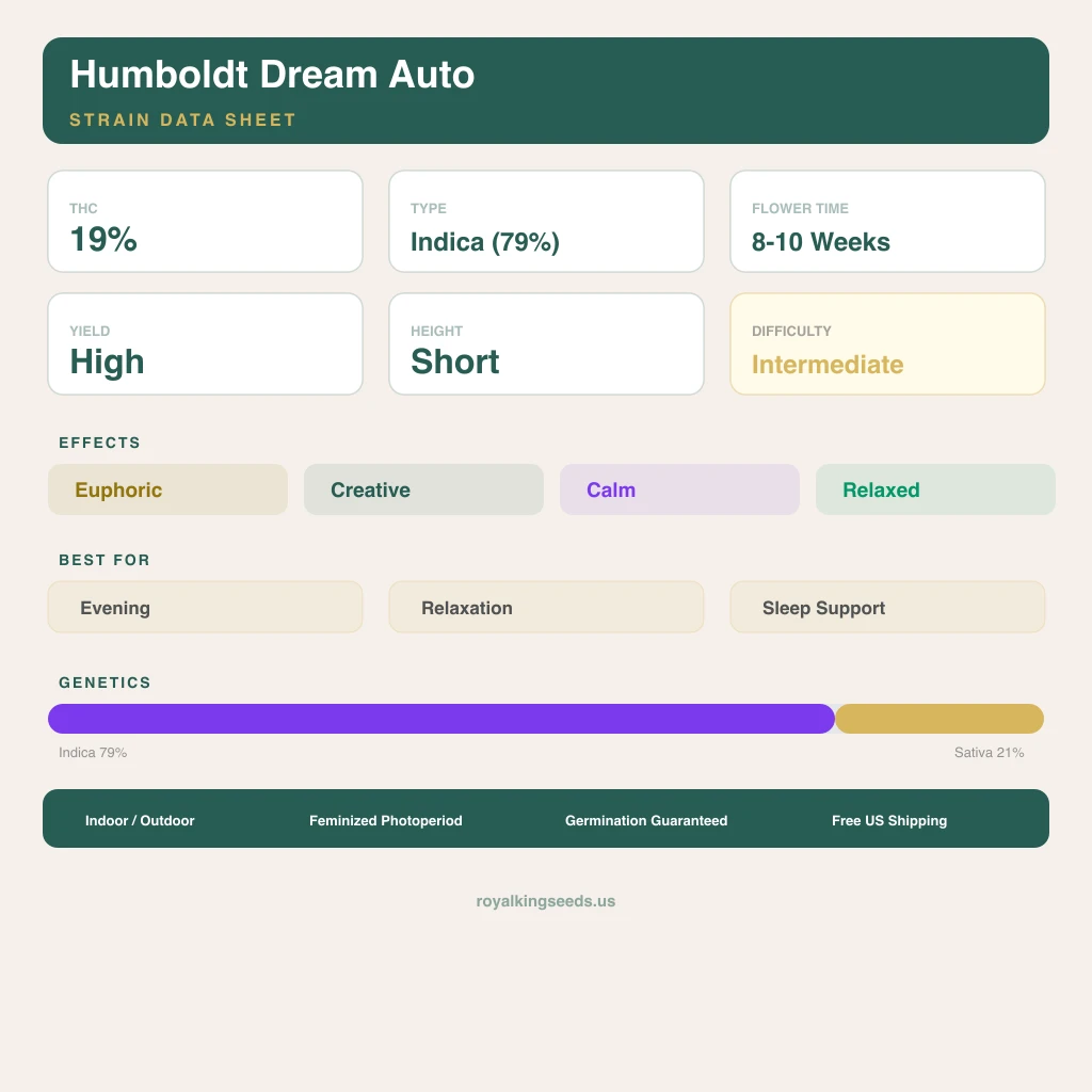 Humboldt Dream 79% indica / 21% sativa flower with visible trichomes