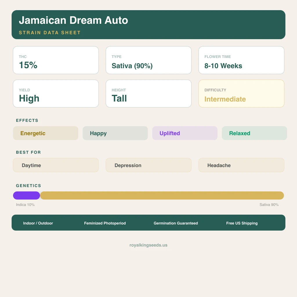 Jamaican Dream 10% indica / 90% sativa flower with visible trichomes