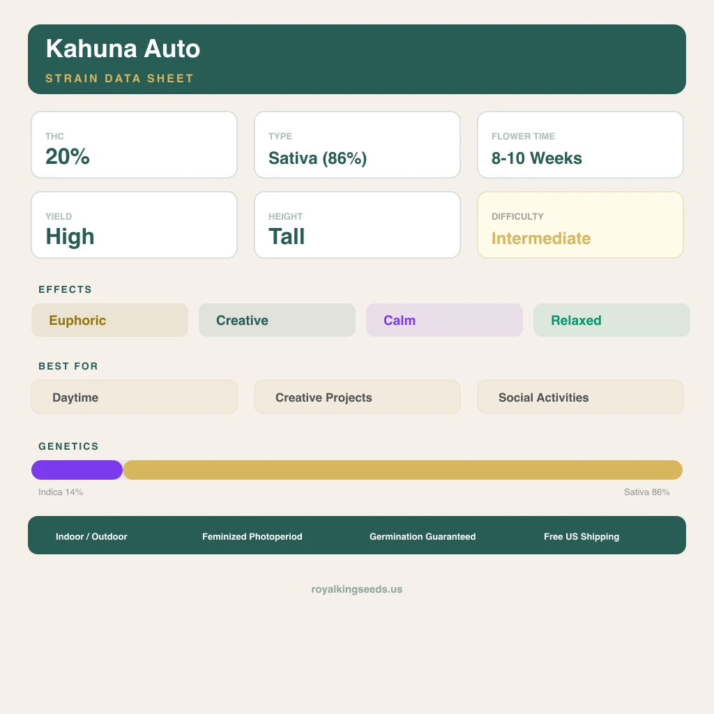 Kahuna 14% indica / 86% sativa flower with visible trichomes