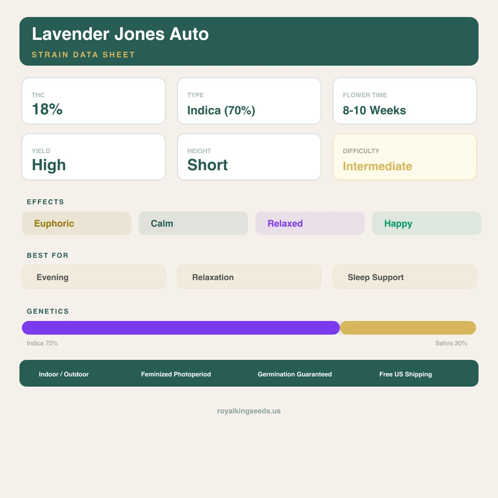 Lavender Jones 70% indica / 30% sativa flower with visible trichomes