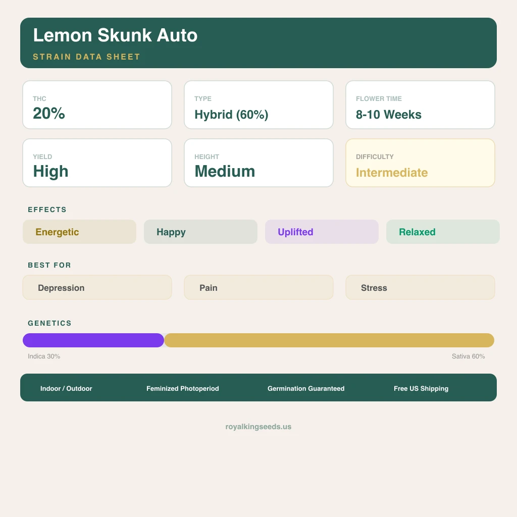 Lemon Skunk 30% indica / 60% sativa flower with visible trichomes